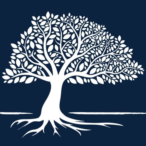 Kurrajong Tree_Blue Square (1)