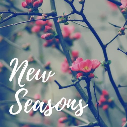 New Seasons (2)