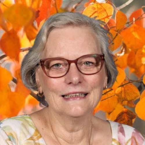 TINA IS RETIRING (400 x 400 px)