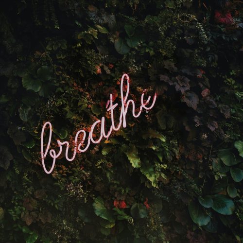 tim-goedhart-vnpTRdmtQ30-unsplash